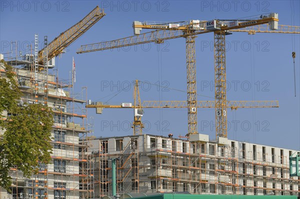 Cranes