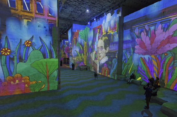 Light and pictureshow Carrieres des Lumieres