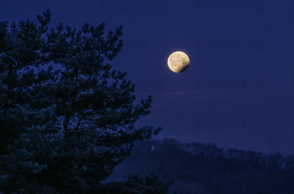 Lunar eclipse