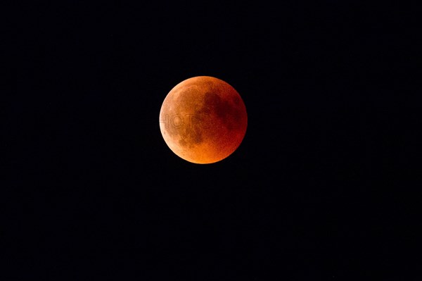 Blood Moon