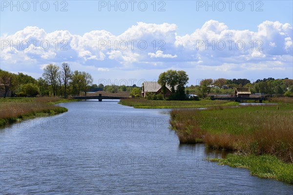 Dziwna River