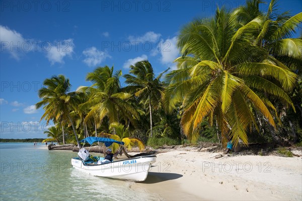 Palm Beach