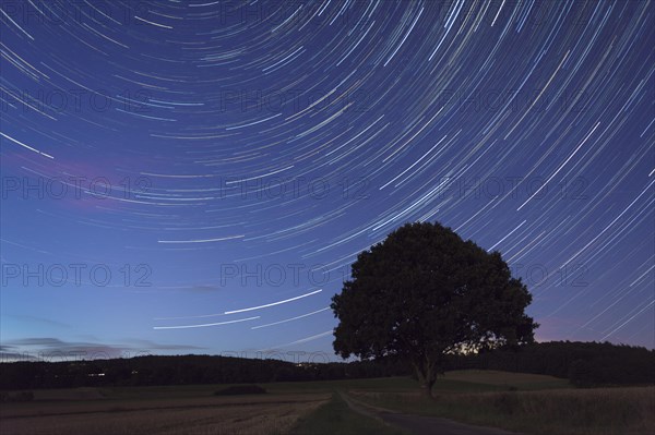 Star trails