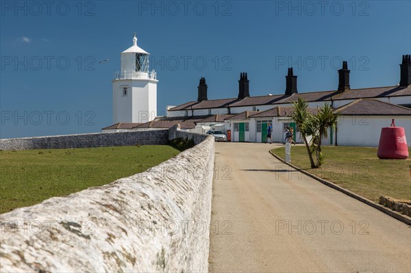 Lizard Point