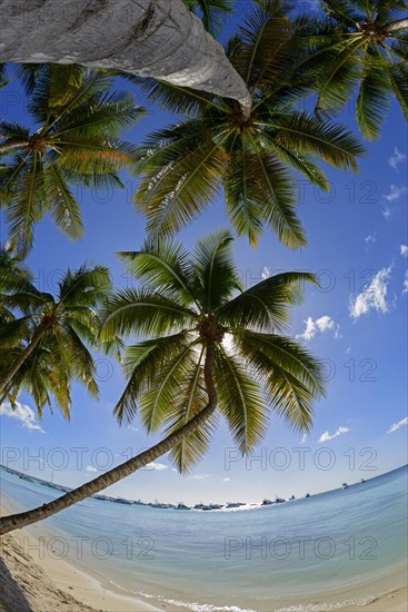 Palm Beach