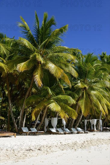 Palm Beach