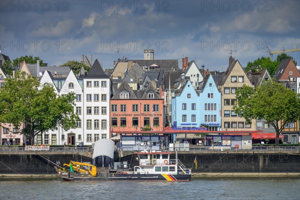 Rhine