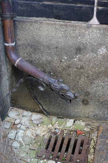 Rain gutter