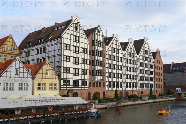 Houses on the Motlawa