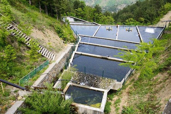Fish farming