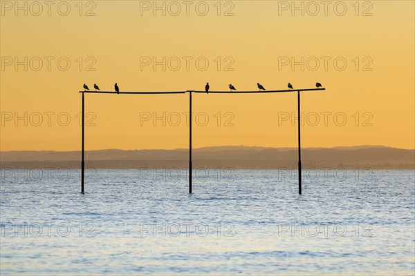 View from Arbon over Lake Constance at sunrise
