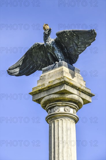Eagle