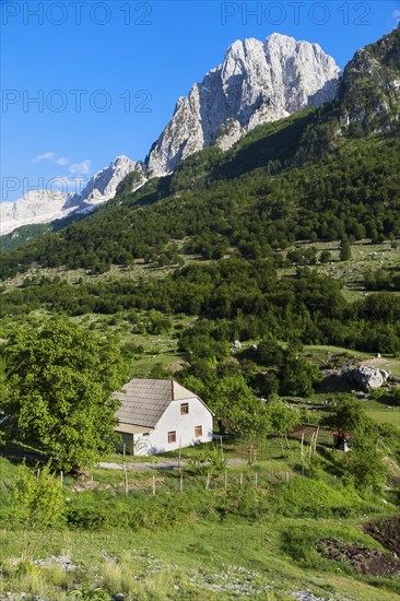 Montenegrin Landscape
