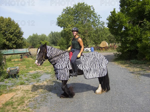 Rider on horseback