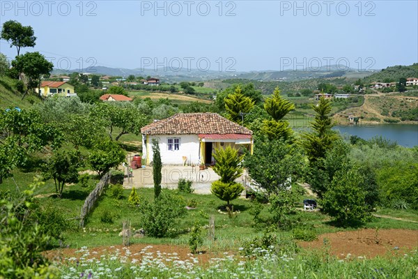 House by the lake