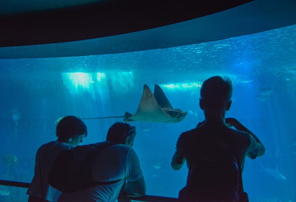 Oceanario de Lisboa