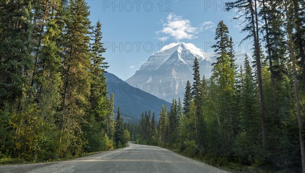 Road