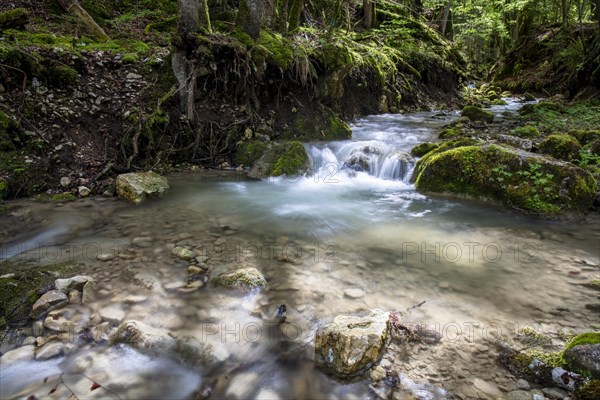 Gorge de Perrefitte