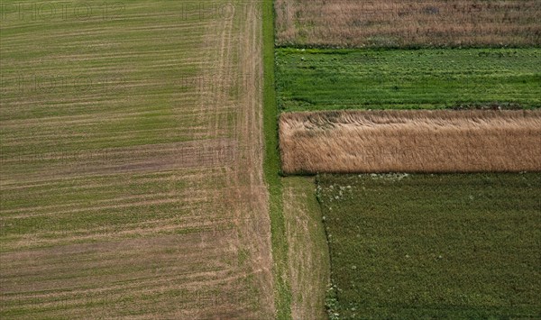 Drone shot