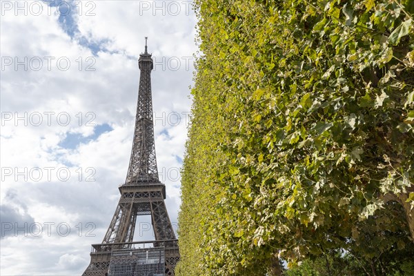Eiffel Tower