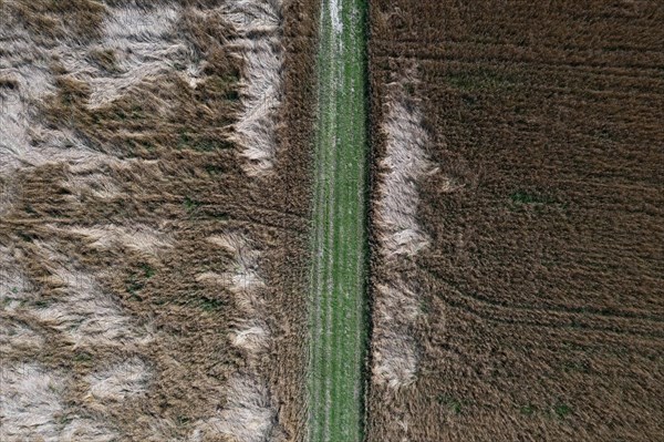 Drone image