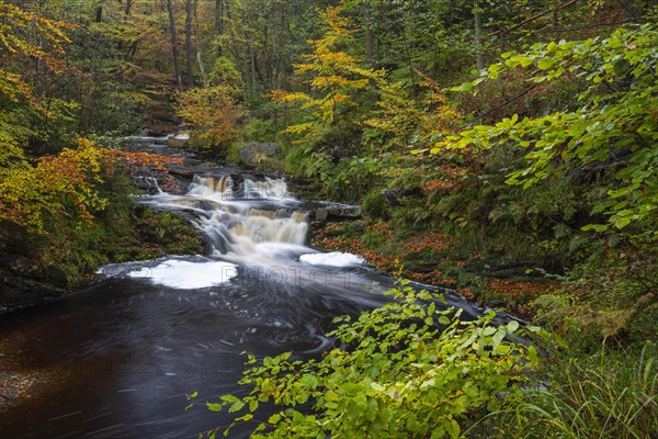 La Hoegne Torrent