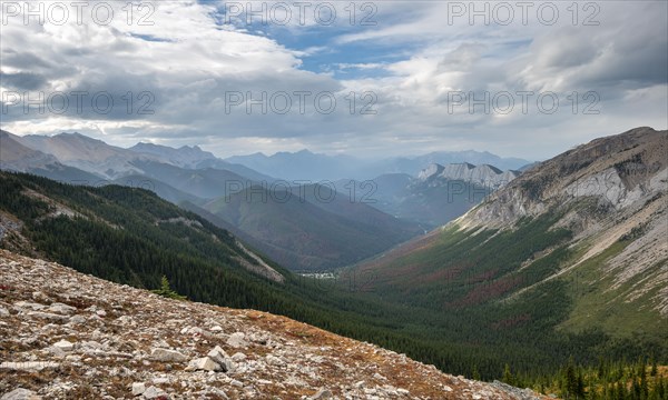 View into forested valley