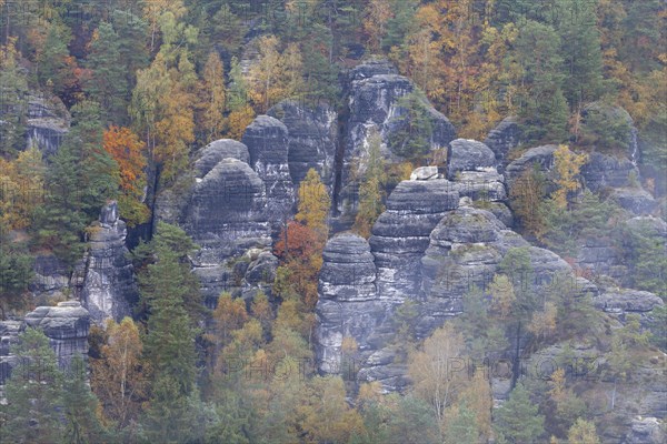 Sandstone rocks in the Bastei area