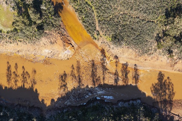 Shadows of trees above the Rio Tinto