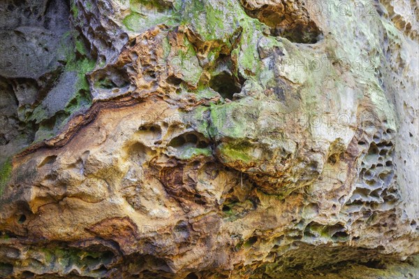 Sandstone rocks in the Polenz Valley