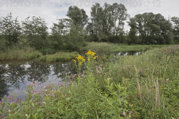 Lower Inn alluvial forest reserve