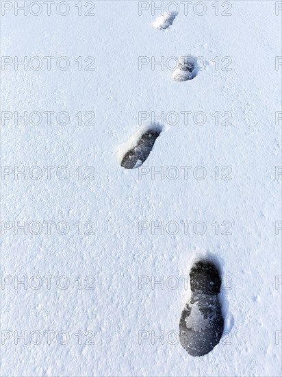 Shoe prints