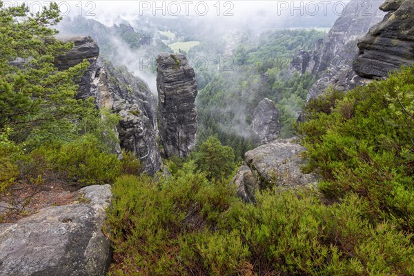 Sandstone rocks in the Bastei area