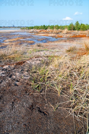 Post-excavation landscape