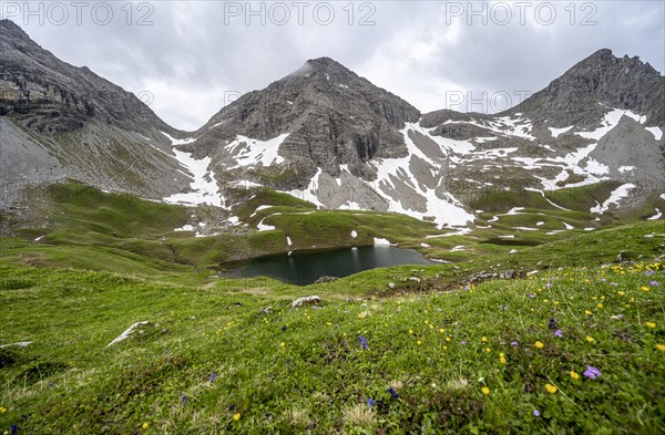 Flower meadow and mountain lake
