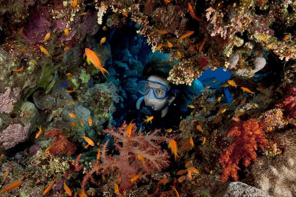 Female diver looking through natural breach into colourful coral reef Sea goldie (Pseudanthias squamipinnis)