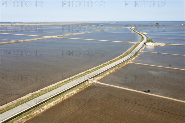 Flooded rice fields in May