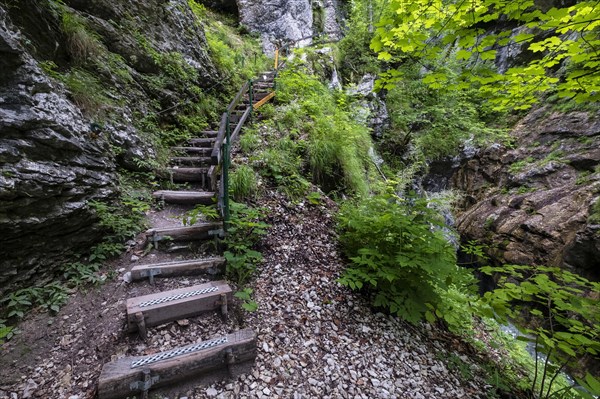 Wooden steps through the Tscheppaschlucht