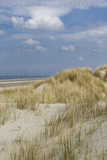 Dunes
