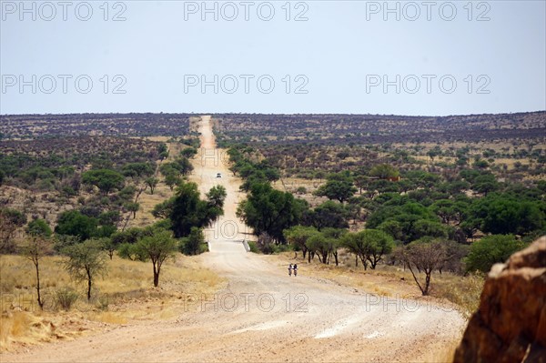 Road C26