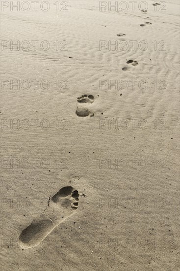 Footprints in the sand