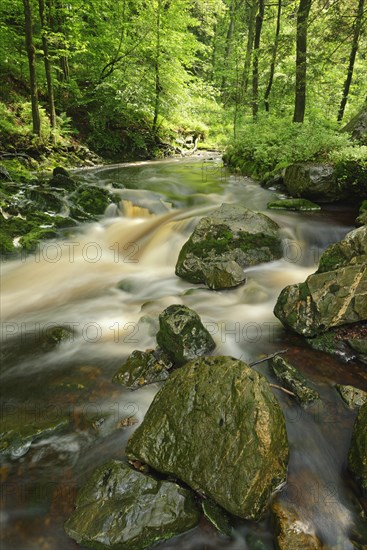 Hoegne stream