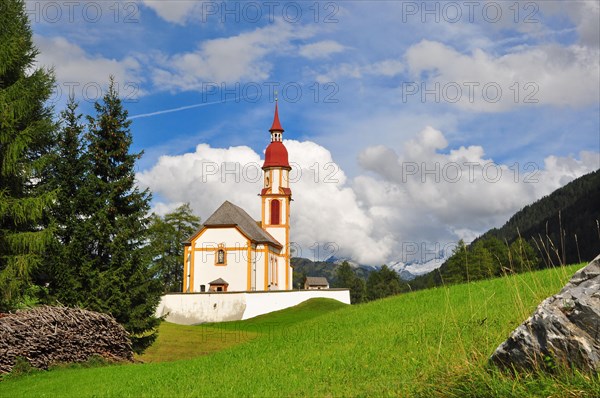 Mountain meadow
