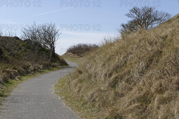 Footpath and cycle path
