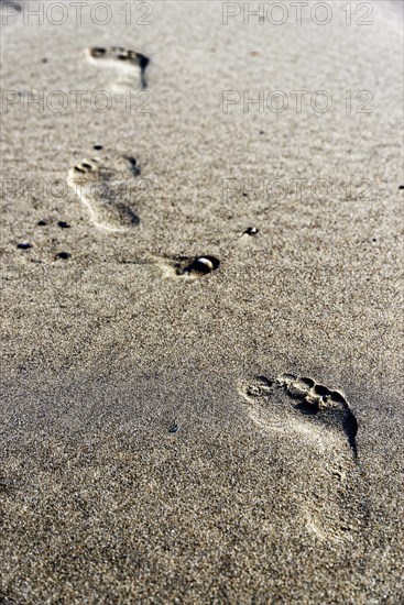 Footprints in the sand