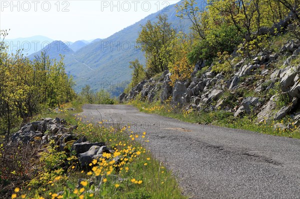 Road