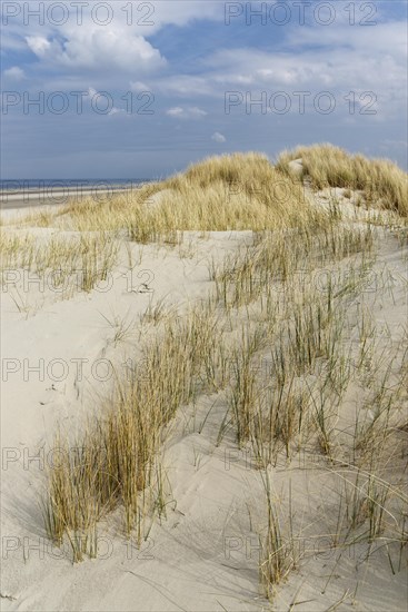 Dunes