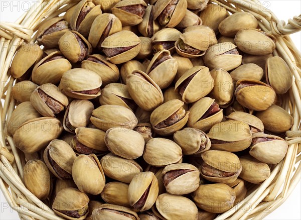 Pistachio