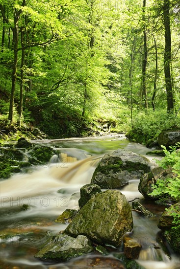 Hoegne stream