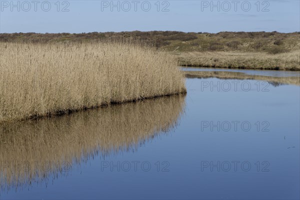 Watercourse